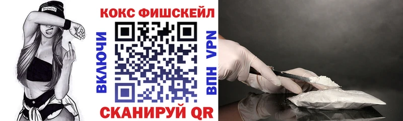 Кокаин FishScale мега зеркало Елизово продажа наркотиков