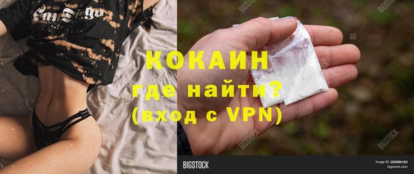 сатива Горно-Алтайск