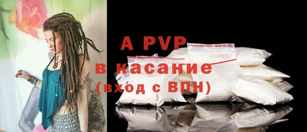 сатива Горно-Алтайск