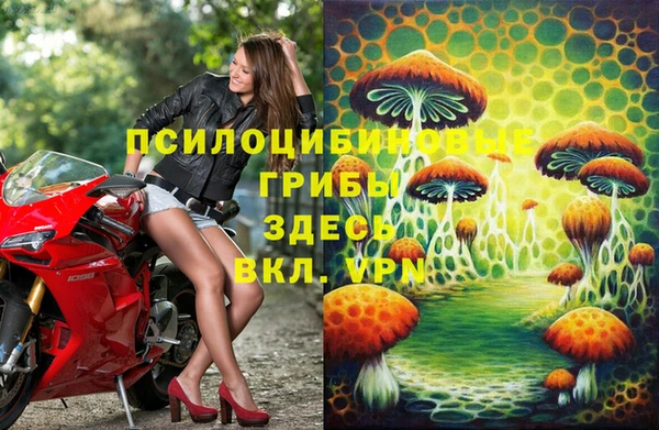 винт Горнозаводск