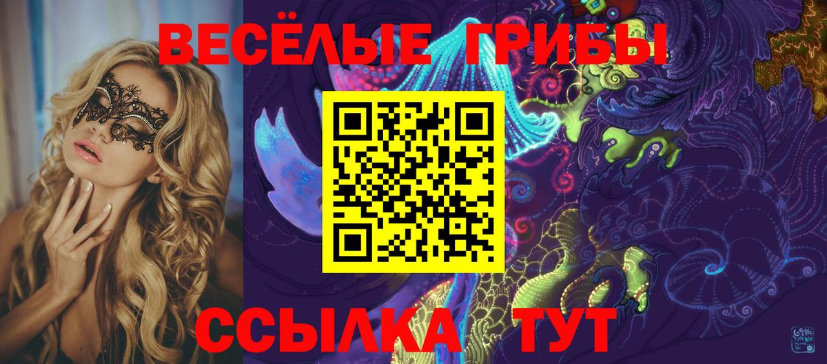 Галлюциногенные грибы MAGIC MUSHROOMS  Галлюциногенные грибы GOLDEN TEACHER  Елизово  Вход с VPN 