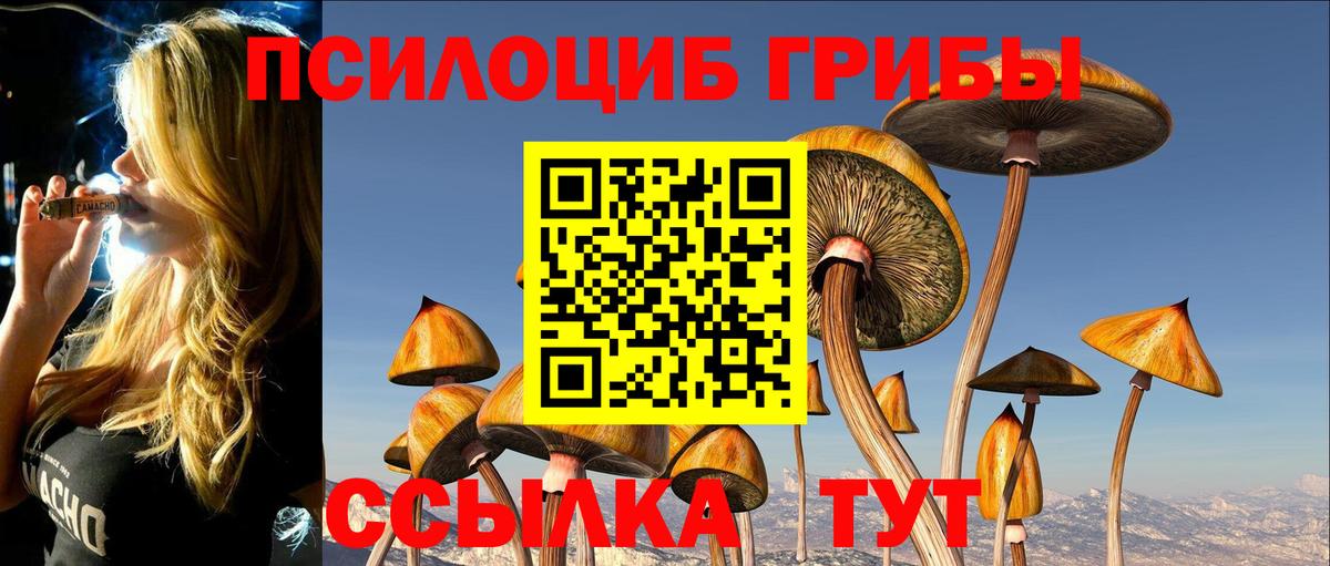 Псилоцибиновые грибы Cubensis Елизово