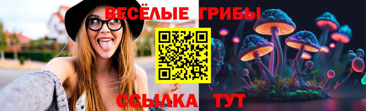 Псилоцибиновые грибы GOLDEN TEACHER Елизово