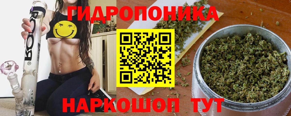 Канабис планчик  Бошки марихуана SATIVA & INDICA  Елизово  Каннабис White Widow 